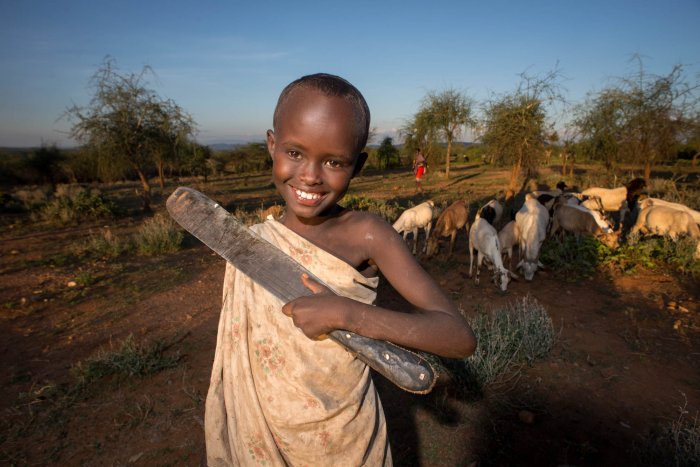 Lchekutis, Maasai Childs Shepherd